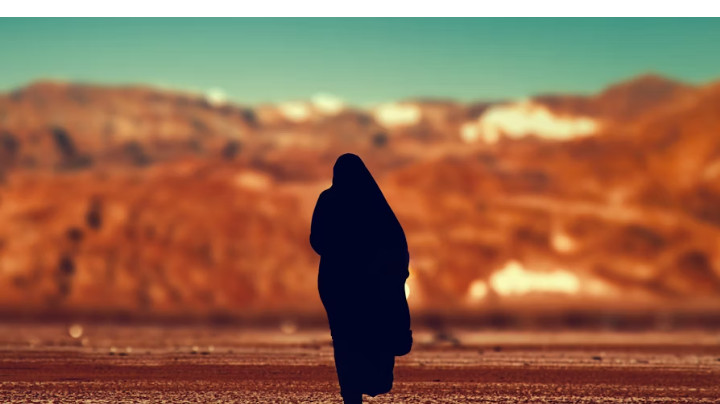 سفينة الحياء