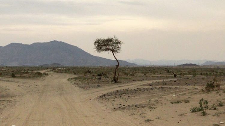 غياب تطبيق الشريعة وعقوبة ذلك