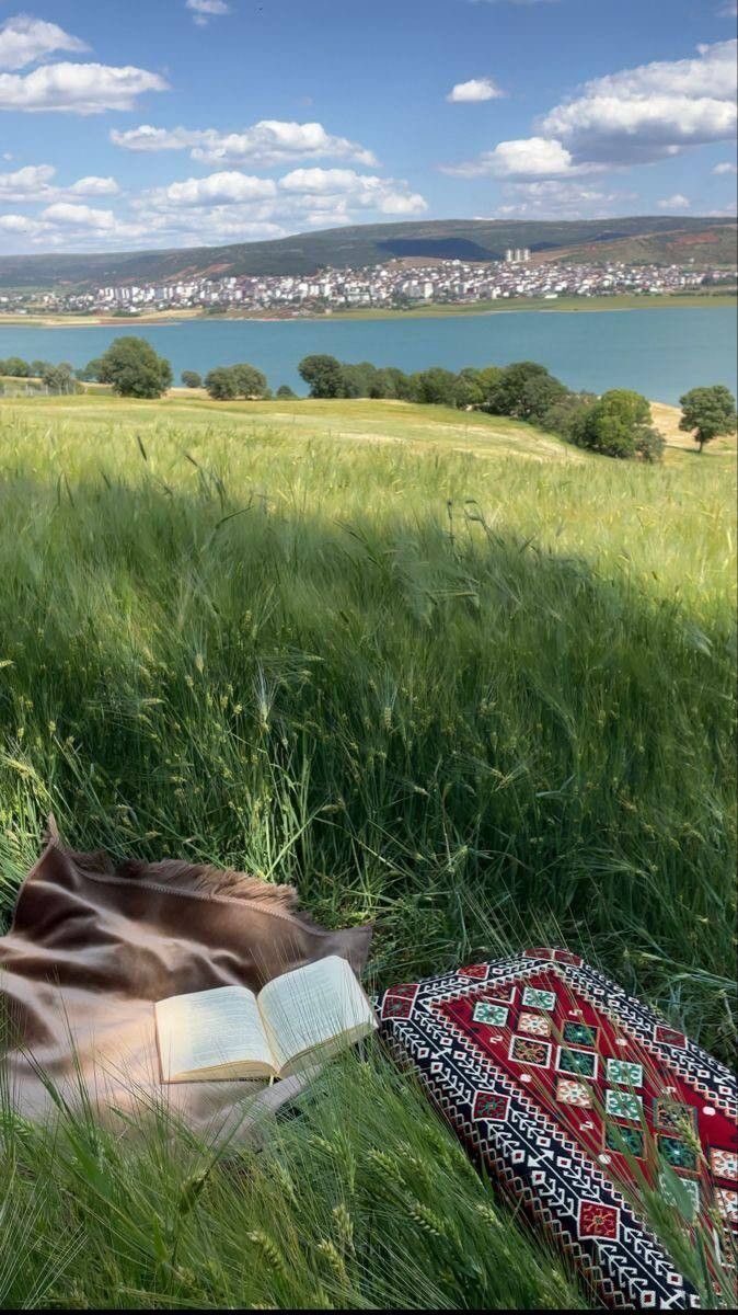 يؤلمني ما يحدث للمسلمين، كيف أعد نفسي حتى أكون نافعة لديني؟