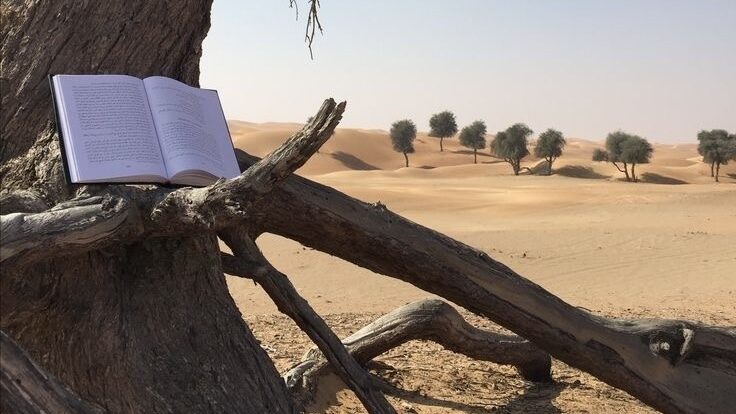 كيف تتعامل المرأة مع فترة العذر الشرعي بحيث لا يصيبها فتور؟