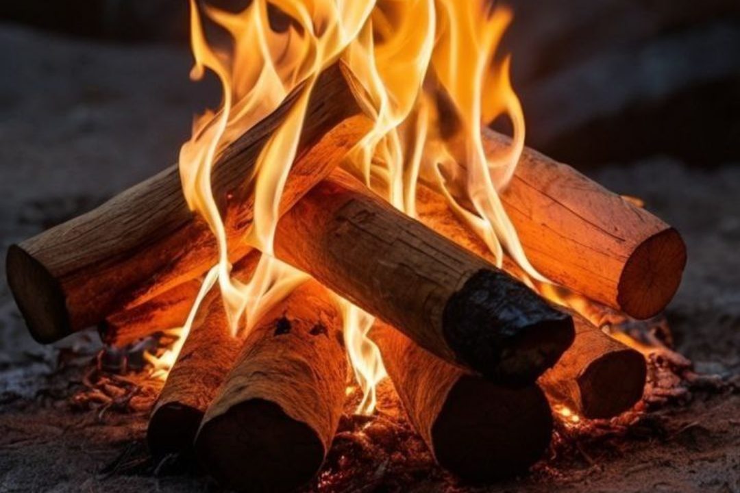 دعاة الضلال