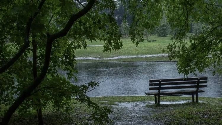 كيف أحارب الكسل وفقدان الرغبة في عمل أي شيء؟