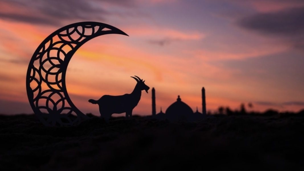 عيد الأضحى المبارك: بهجة الإيمان المُتجددة وعهد القلوب الوفية