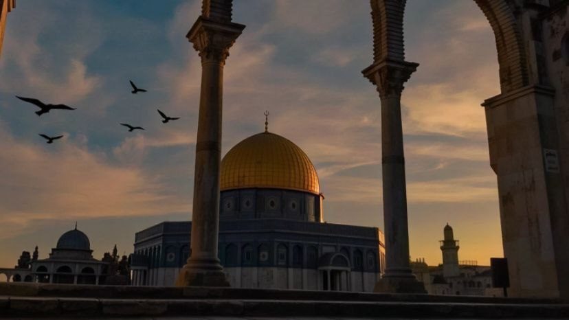 رسالة اعتذار من العروبة إلى فلسطين الشريفة