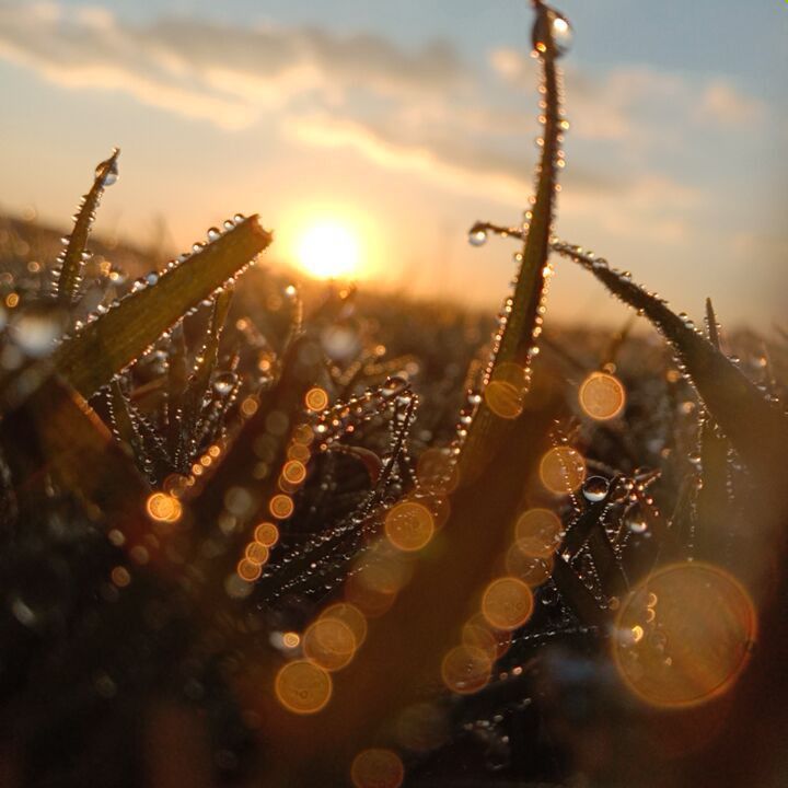 خطر الرياء وأنه من الشرك