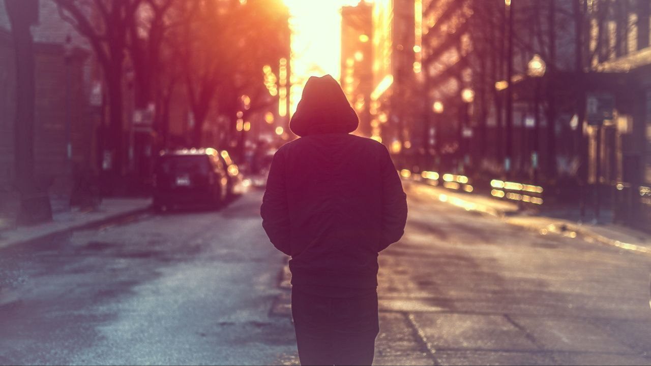 شوارع لامعة وفِطَرٌ عفِنة