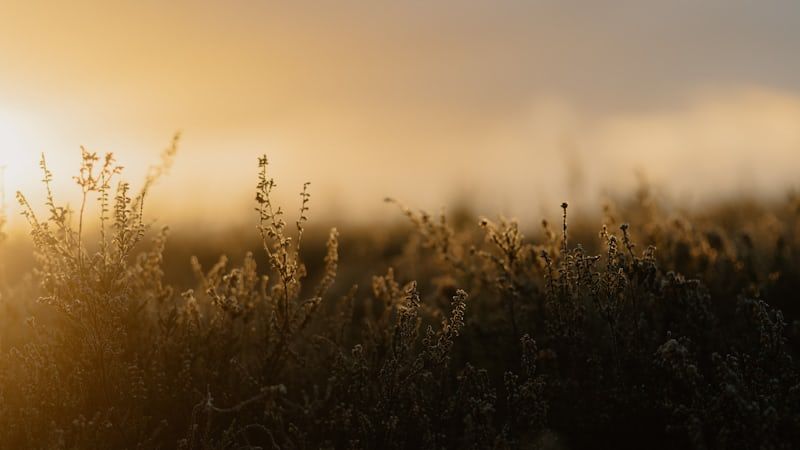 لم أحقق تقدماً في ديني أو دراستي ما نصيحتكم؟