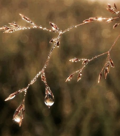 هل الكريمات المرطبة تعتبر طبقة عازلة أغسلها بالصابون أولا ثم أتوضأ أم أن الوضوء صحيح بلا مبالغة