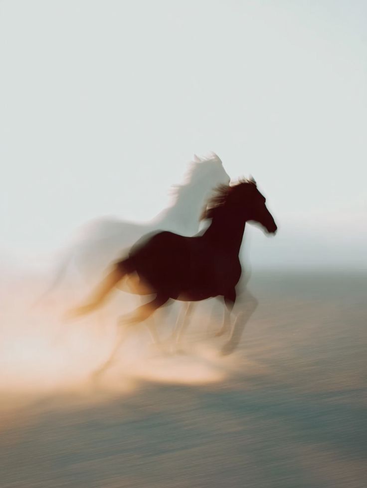 هل نيتي فاسدة إذا امتنعت عن الحرام لأني أريد أن أكون كالصحابيات وليس خوفا من الله؟