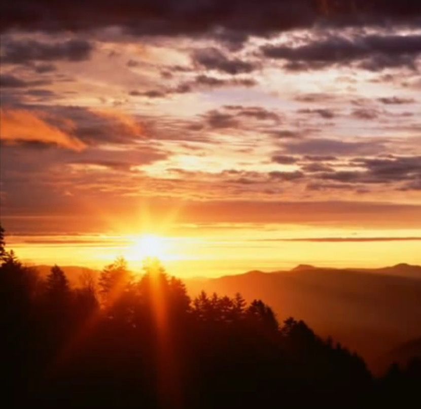 من نساء السلف