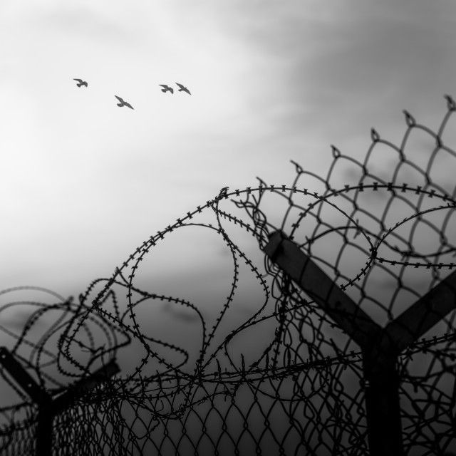 الذراعُ الخفيُ للعلمانية