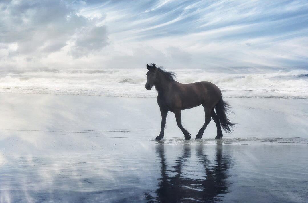 لن تُمكَّنَ حتى تُبتَلَى!