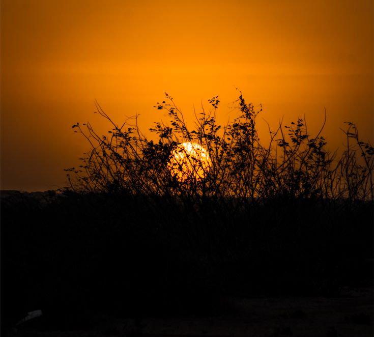 لا تراءى ناراهما