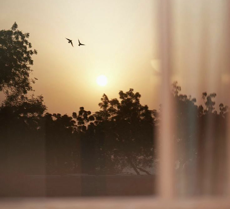 إنبات الزَّهرِ باللِّسان: حول إسداء النُّصح بالعاطفة