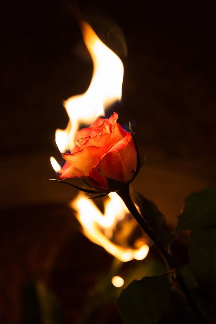 حسنات مقابل الذنوب