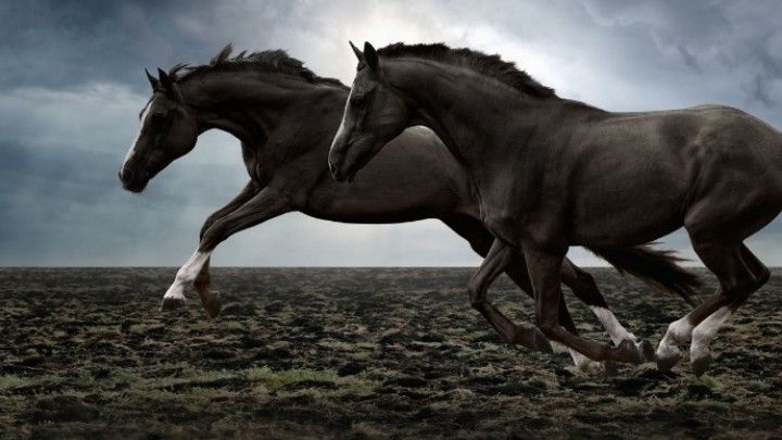 عَبْدَ اللَّهِ بْنَ حُذَافَةَ السَّهْمِيُّ