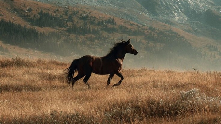 أَبُو عُبَيْدَة بْنُ الجَرَّاحِ: عَامِرُ بْنُ عَبْدِ اللَّهِ بْنِ الْجَرَّاحِ