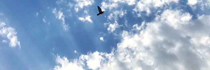 ذنوب حسنات