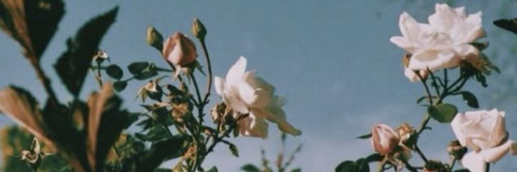 مناجاة
