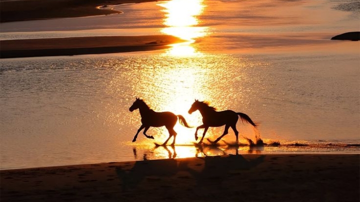 سَلَمَةُ بْنُ الْأَكْوَعِ