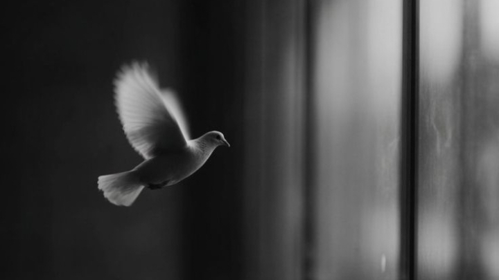 قِوامةٌ أم استعبادٌ؟