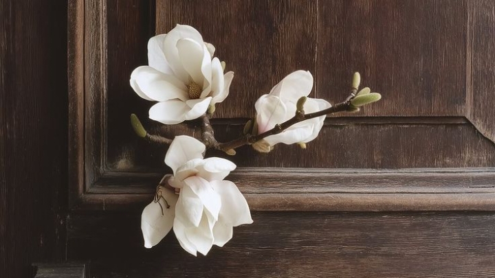 ناقصاتُ عقلٍ ودين!