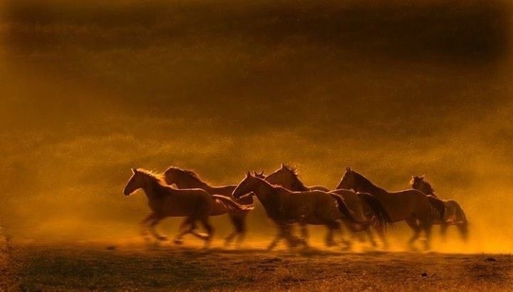 هؤلاء هم الأبطال، هم منك وأنت منهم