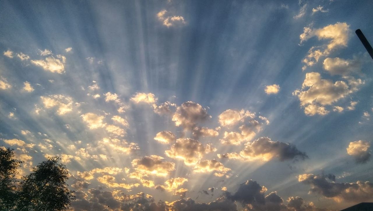 ما قدَرناك حق قدرِك².