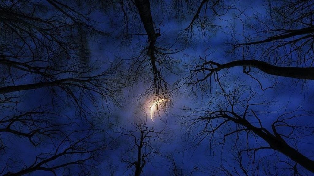 رسائل السماء