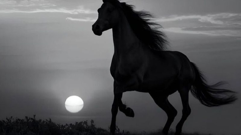 أفضل خلق الله بعد الأنبياء: الصحابة -رضوان الله عليهم-