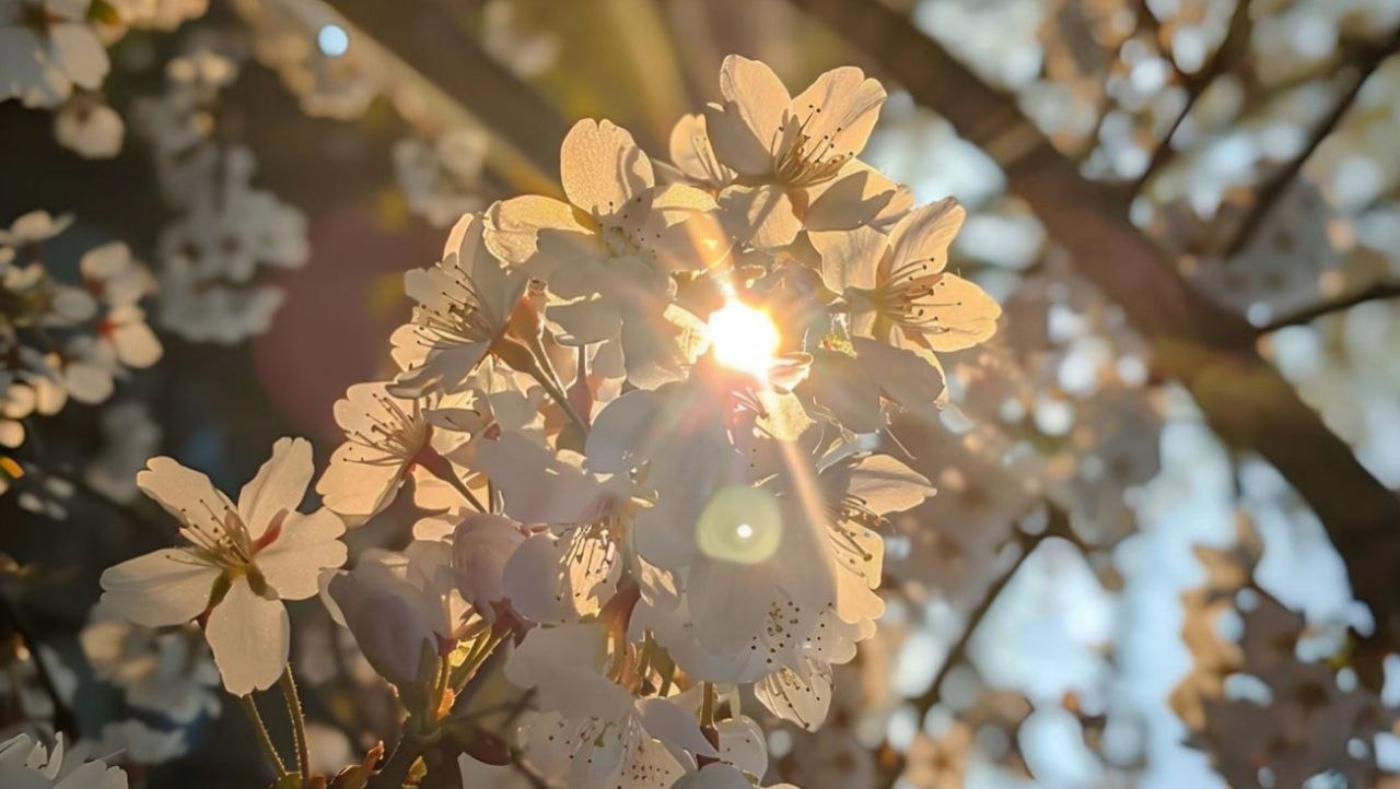 تزكية القلب