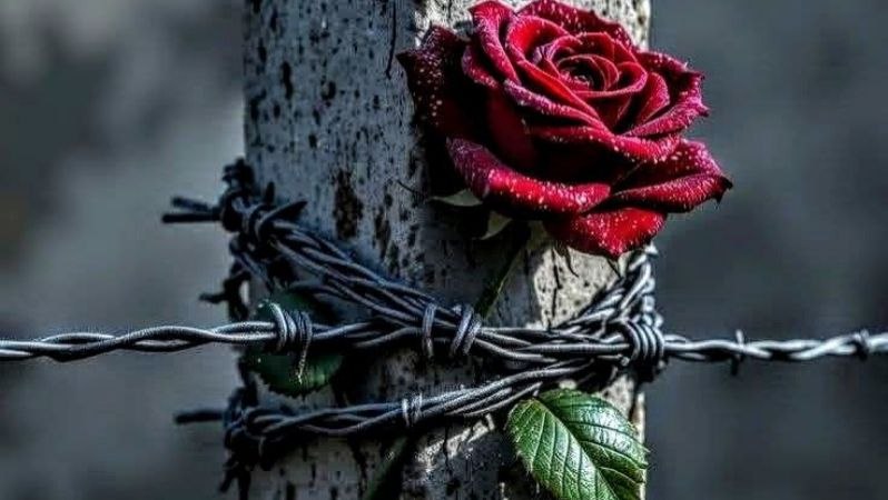 أيقونات البطولات المزيفة