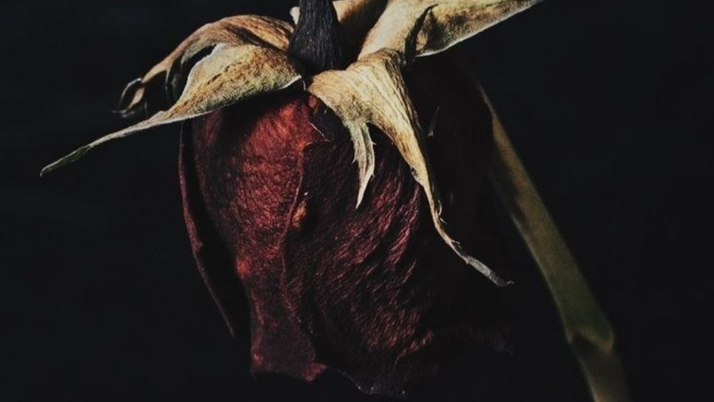 الزواج في الإسلام: مسؤولية ووعي لا رقم أو حيض.