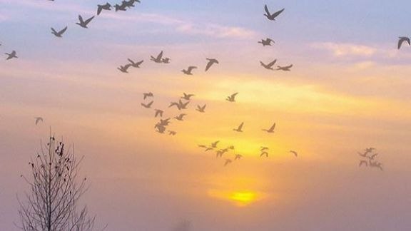 اعتقادٌ أوهنته فِكرة.