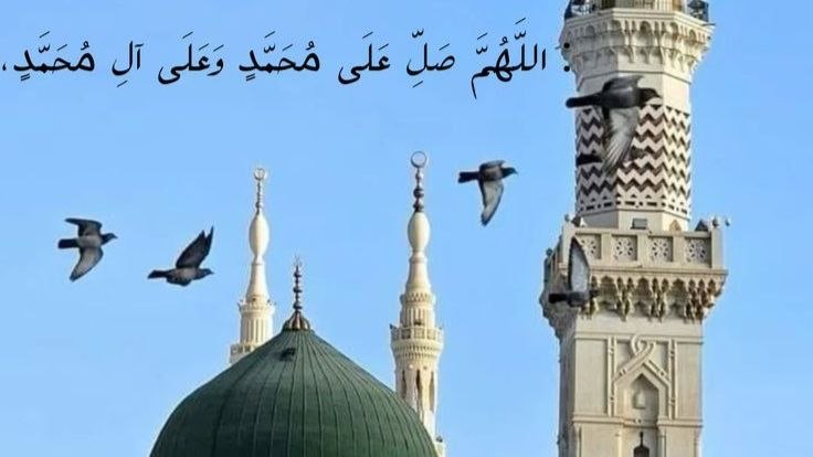 «الشريعة وحدّ السّيف»