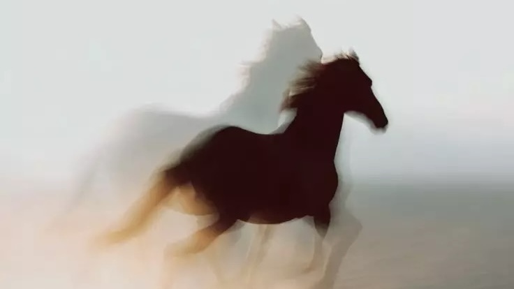 فرصة لا تُعوَّض