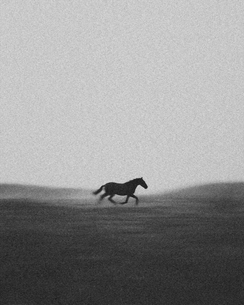 فرصة
