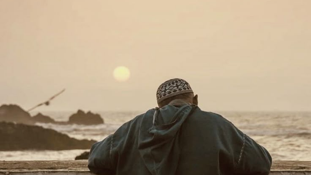 الصحبة ج2
