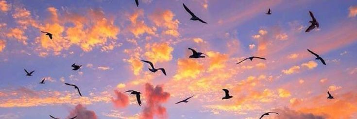 ﴿بَلَىٰ وَلَٰكِن لِّيَطْمَئِنَّ قَلْبِي﴾