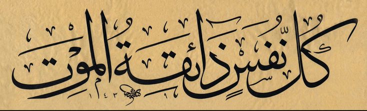 الدنيا... مقام العابرين