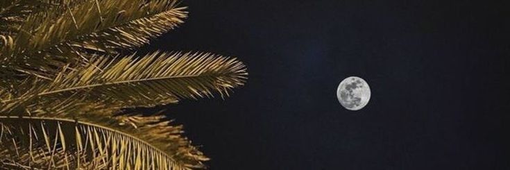 صحبة

