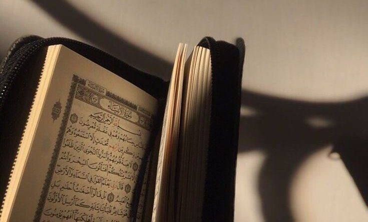 ضرب الأمثال في القرآن والحكمة فيه