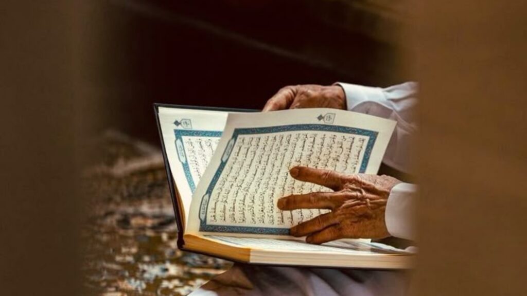 الآية
