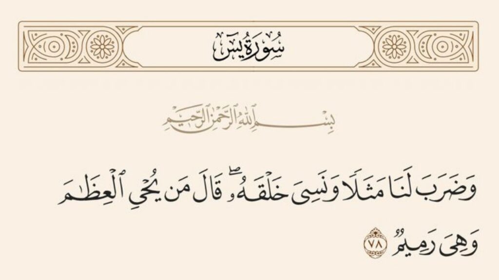  العظام الرميم