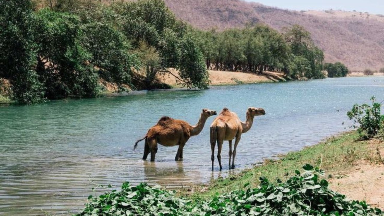 موقف السلف من البدع الموسمية والمحدثات