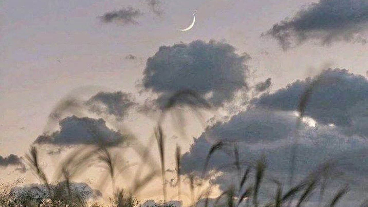 حرص النبي ﷺ على مجالسة زوجاته ومؤانستهن