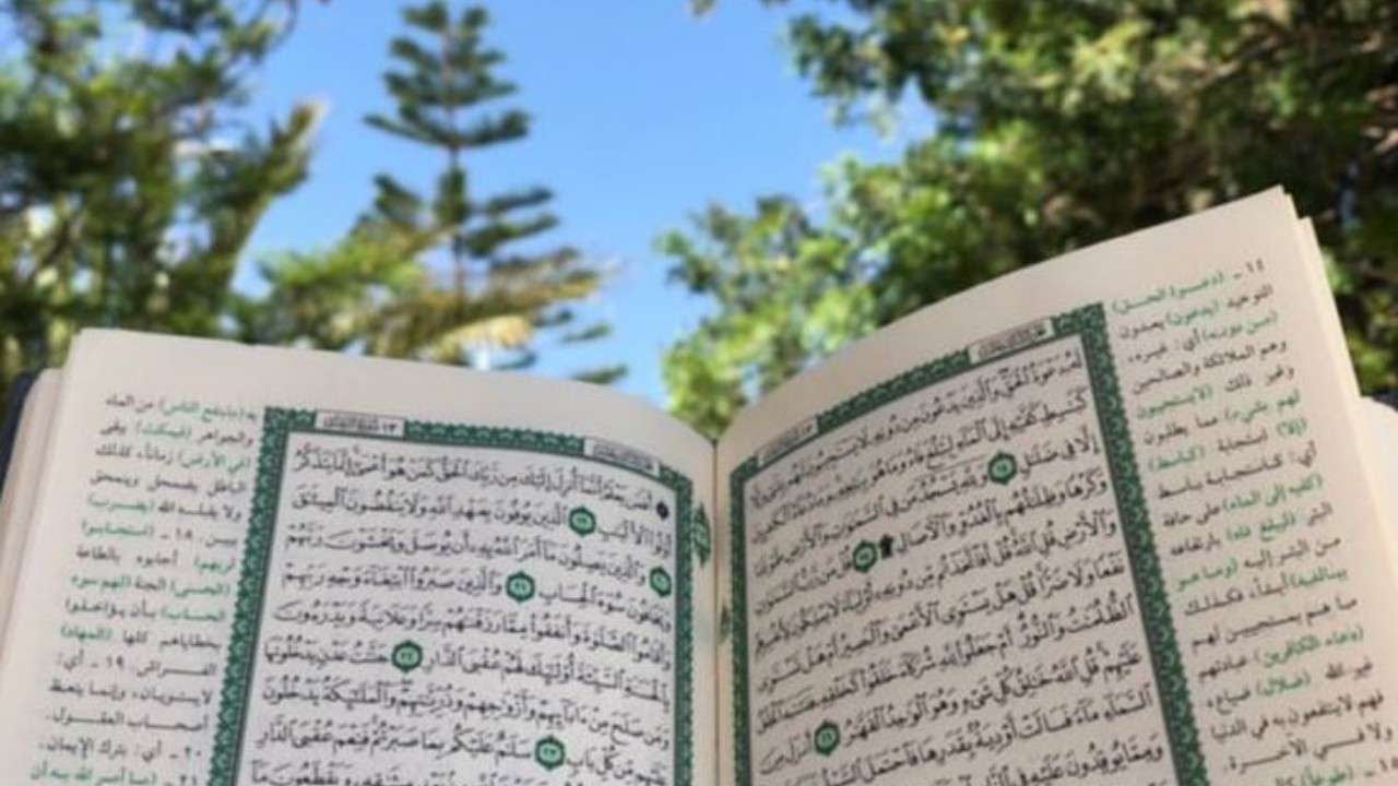 طاعة {وأَطِعنَ اللهَ وَرَسُولَه}