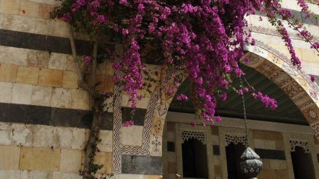 مكر
