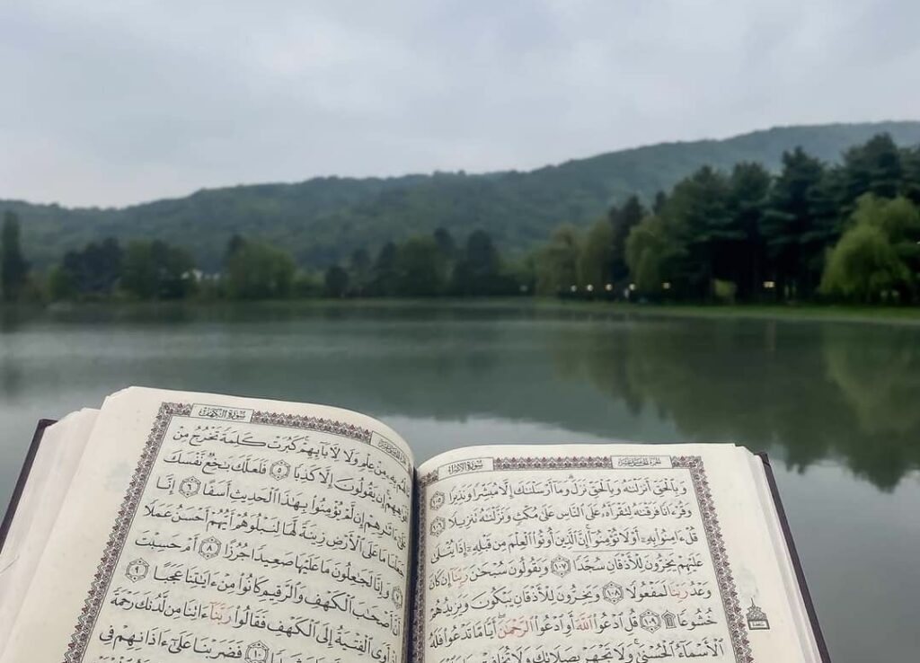 قطوف