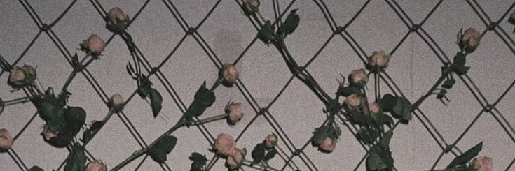 حجاب
